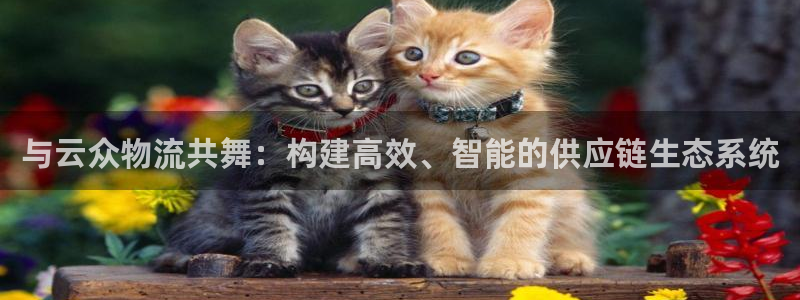 ,优游国际官网下载链接是什么网站：与