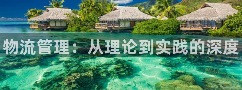 ,优游国际开奖预测：物流管理：从理论