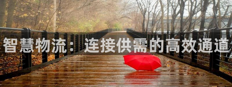 ,优游国际加拿大技巧：智慧物流：连接供需的高效通道