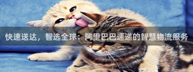 优游国际官网入口：快速送达，智选全球