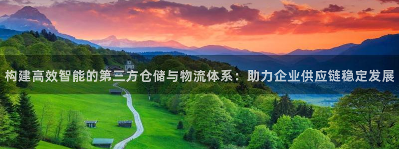 ,优游国际麻将：构建高效智能的第三方仓储与物流体系：助力企业