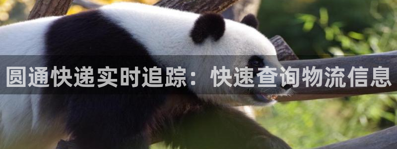 ,优游国际黑不黑：圆通快递实时追踪：