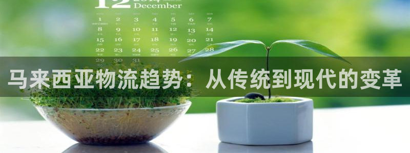 ,优游国际app怎么注销：马来西亚物