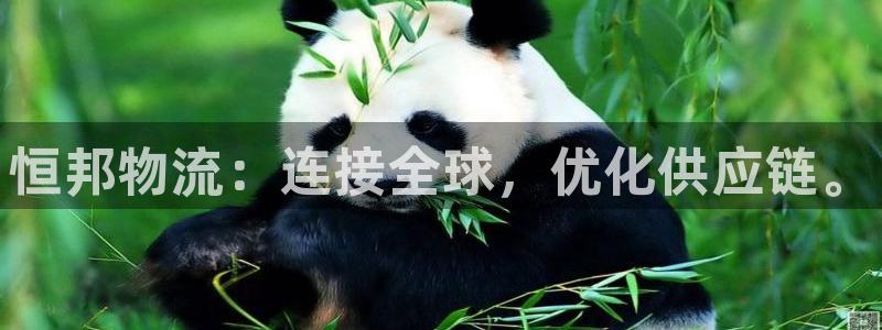 ,优游国际农业银行是狗卡吗：恒邦物流