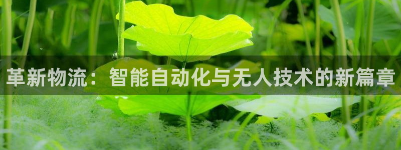 ,优游国际免费充钱：革新物流：智能自动化与无人技术的新篇章