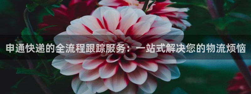 ,优游国际加拿大最新版：申通快递的全