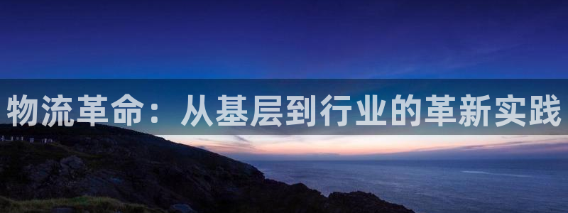 ,优游国际辅助:物流革命:从基层到行