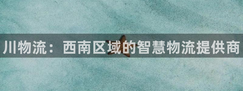 ,优游国际退款:川物流:西南区域的智