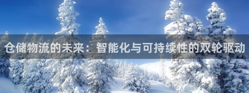 ,优游国际充值不到账：仓储物流的未来