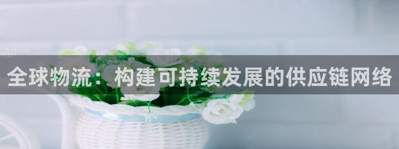 ,优游国际连输10天：全球物流：构建可持续发展的供应链网络