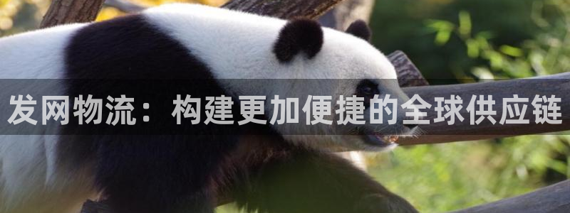 ,优游国际黑平台吗:发网物流:构建更