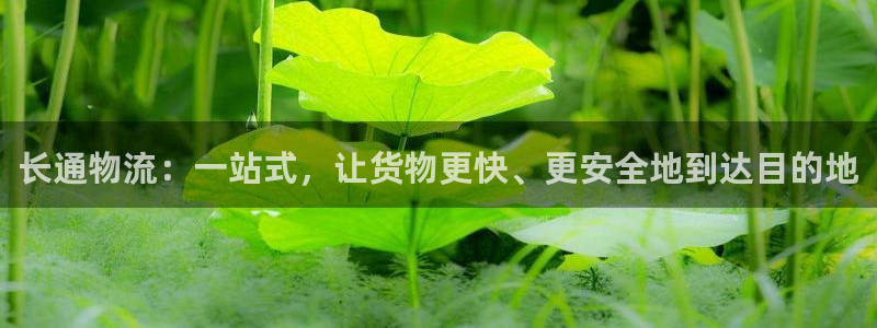 ,优游国际如何看计划：长通物流：一站