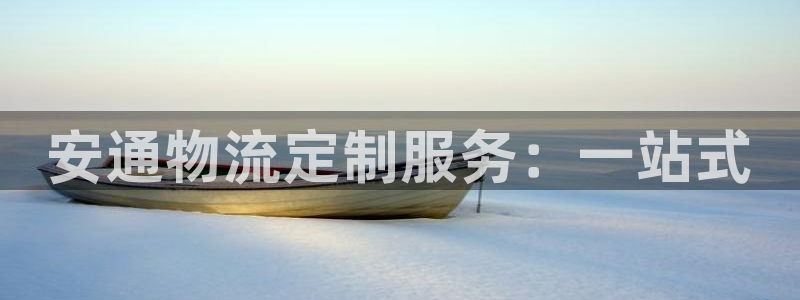 优游国际官方网站预测:安通物流定制服