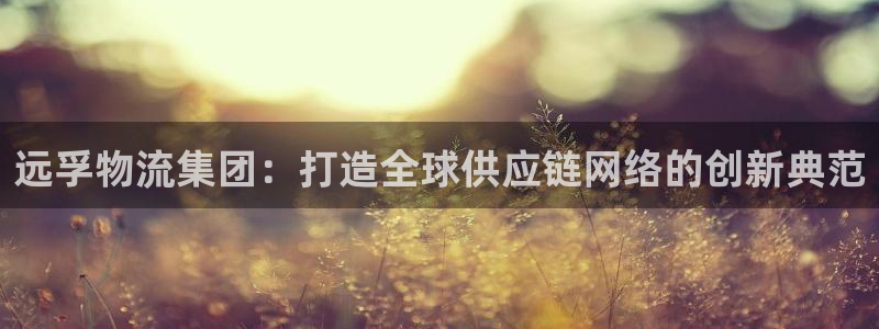 ,优游国际注册链接教程:远孚物流集团