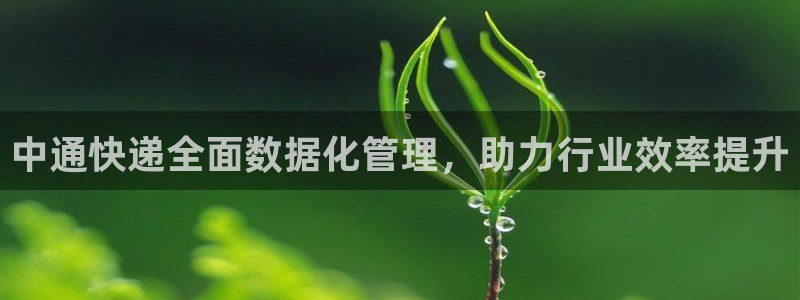 ,优游国际客服电话:中通快递全面数据