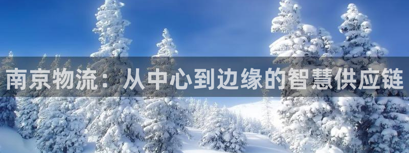 ,优游国际能不能退:南京物流:从中心